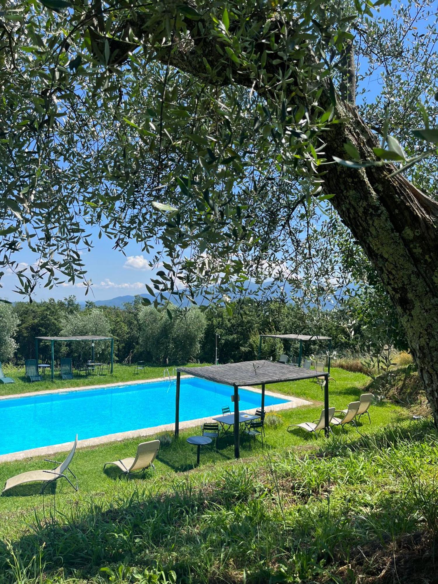 Azienda Agricola Fabbrica Di San Martino Lucca Exterior foto